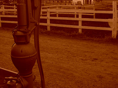 FDotografia Freelance